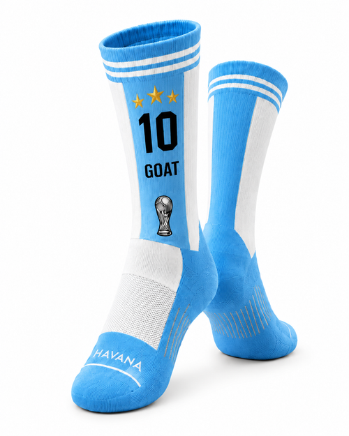 GOAT 10